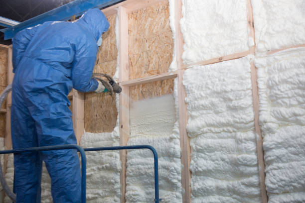 Best Insulation Replacement  in Cleveland, NC